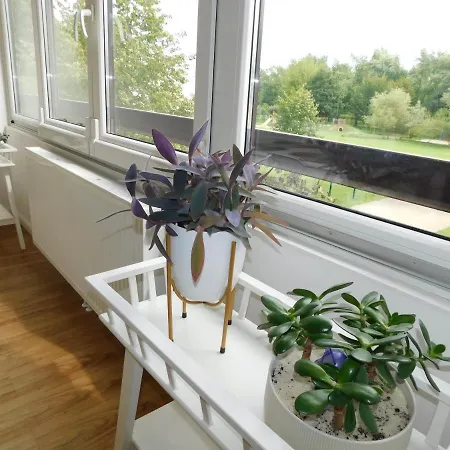 Zeleni Apartma 公寓